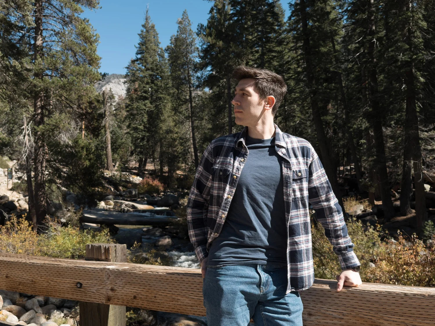 Preset VA Daydream Amber